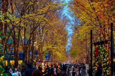Tokyo, Japonya - 15 Aralık 2023: Tokyo 'daki güzel Marunouchi Caddesi Park Işıklandırması