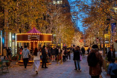 Tokyo, Japonya - 15 Aralık 2023: Tokyo 'daki güzel Marunouchi Caddesi Park Işıklandırması