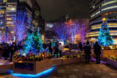 Tokyo, Japonya - 15 Aralık 2023: Göz kamaştırıcı mavi ışıklarla süslenmiş ağaçlarla dolu canlı bir sokak sahnesi.