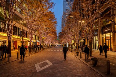 Tokyo, Japonya - 15 Aralık 2023: Tokyo 'daki güzel Marunouchi Caddesi Park Işıklandırması