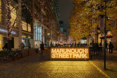 Tokyo, Japonya - 15 Aralık 2023: Tokyo 'daki güzel Marunouchi Caddesi Park Işıklandırması