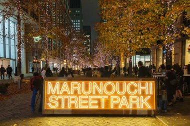 Tokyo, Japonya - 15 Aralık 2023: Tokyo 'daki güzel Marunouchi Caddesi Park Işıklandırması