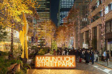 Tokyo, Japonya - 15 Aralık 2023: Tokyo 'daki güzel Marunouchi Caddesi Park Işıklandırması