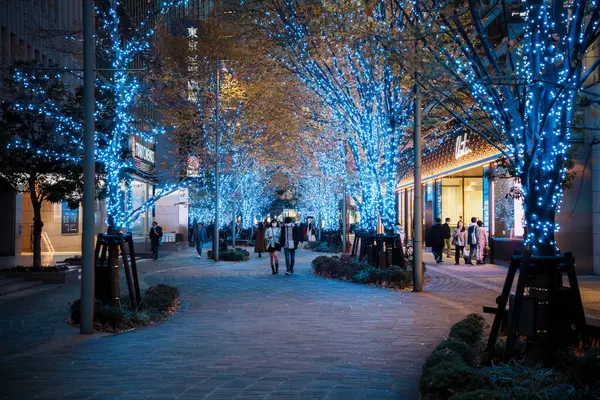 Tokyo, Japonya - 15 Aralık 2023: Göz kamaştırıcı mavi ışıklarla süslenmiş ağaçlarla dolu canlı bir sokak sahnesi.
