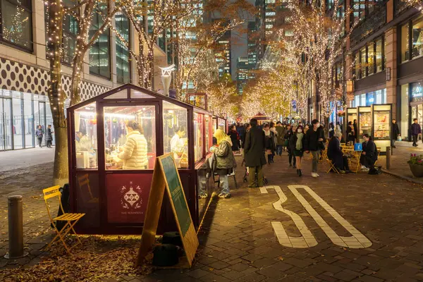 Tokyo, Japonya - 15 Aralık 2023: Tokyo 'daki güzel Marunouchi Caddesi Park Işıklandırması