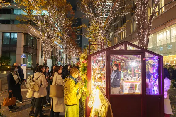 Tokyo, Japonya - 15 Aralık 2023: Tokyo 'daki güzel Marunouchi Caddesi Park Işıklandırması