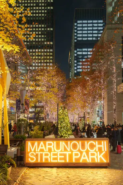 Tokyo, Japonya - 15 Aralık 2023: Tokyo 'daki güzel Marunouchi Caddesi Park Işıklandırması