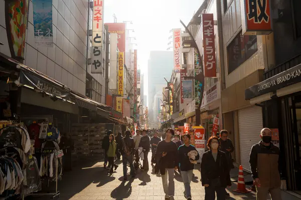 Tokyo, Japonya - 16 Aralık 2023: Ameya Yokocho pazarında çok sayıda insan ve çeşitli dükkanların bulunduğu hareketli bir sokak manzarası.