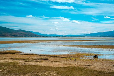 Çin 'in Şangri-la kentindeki Napahai Gölü' nün sakin manzarasında mavi su, kumsallar ve mavi gökyüzü var..