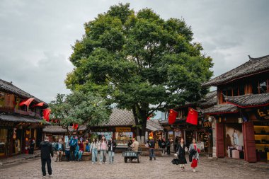 Lijiang, Çin - 23 Ekim 2024: Ziyaretçiler, eski fayanslı binalar ve kırmızı bayraklı büyük gölgeli ağaçlarla çevrili Lijiang Eski Kasabası 'nın canlı merkez meydanını keşfediyorlar.