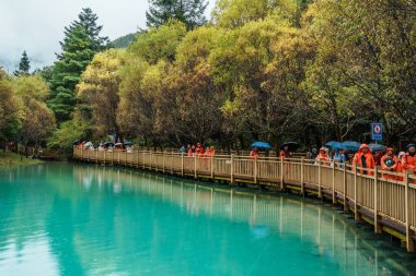 Lijiang, Çin - 24 Ekim 2024: İnsanlar Lijiang 'daki Mavi Ay Vadisi' nin sisli atmosferinin tadını çıkararak şemsiyelerin altındaki bir sahil yolunda yürüyor.