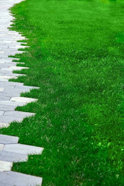 pavement with stone tiles decorative pattern and trimmed green lawn on summer park, vertical image, nobody.