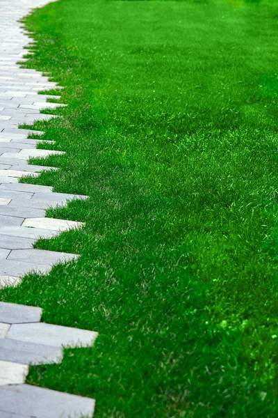石瓦铺路面装饰图案 夏季公园修剪绿色草坪 垂直造型 图库图片