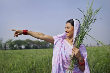 Mutlu Hintli kadın çiftlik işçisi tarlada dururken bir şeyi işaret ediyor.