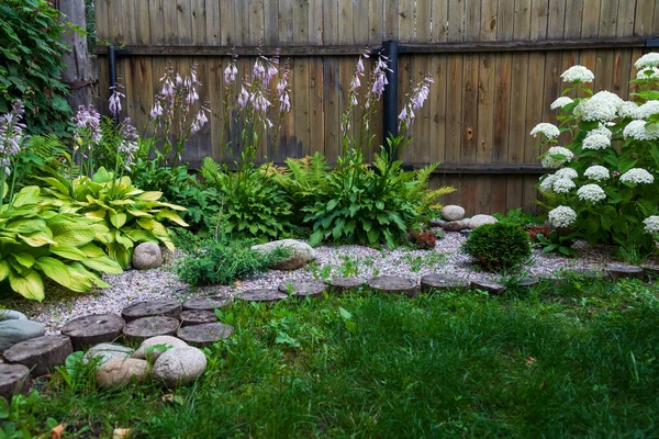 白いアジサイとホスタの花とカントリーハウスの中庭に庭 庭と趣味 — ストック写真
