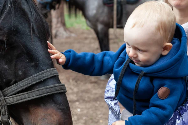 Keluarga Bahagia Menikmati Hari Hari Luar Dengan Kuda Peternakan Konsep — Stok Foto