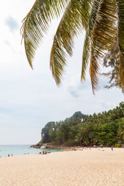 Tayland, choeng thale - 03.28.23 Choeng Thale şehrindeki güzel Surin plajı, Phuket, Tayland beyaz kum, turkuaz su ve palmiye ağaçları