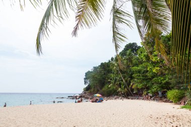 Tayland, choeng thale - 03.28.23 Choeng Thale şehrindeki güzel Surin plajı, Phuket, Tayland beyaz kum, turkuaz su ve palmiye ağaçları