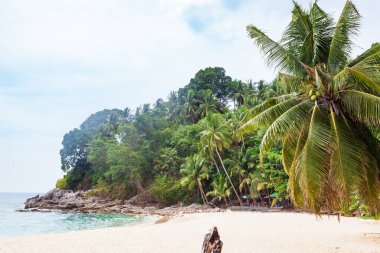 Choeng Thale şehrindeki güzel Surin plajı, Phuket, Tayland beyaz kum, turkuaz su ve palmiye ağaçları ile