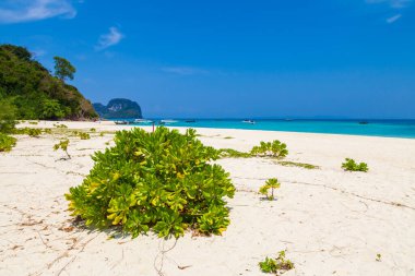 Andaman Denizi 'nde mercan resifleri, berrak su ve yumuşak temiz kumla küçük bir Bambu adası. Tayland, Phuket 'te gezintiye çıkıyoruz. Şnorkel benekleri.
