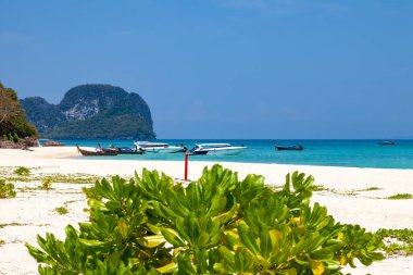 Andaman Denizi 'nde mercan resifleri, berrak su ve yumuşak temiz kumla küçük bir Bambu adası. Tayland, Phuket 'te gezintiye çıkıyoruz. Şnorkel benekleri.