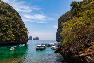 Tayland 'da Phi Pi Leh Adası' nda rıhtım ya da iskele. Güneşli bir günde Maya Körfezi yakınlarında tekneler ve turistlerle. Seyahat ve tatil.