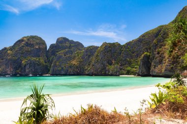 Efsanevi Maya Körfezi sahili, Leonardo DiCaprio 'nun oynadığı 