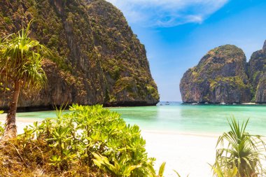 Efsanevi Maya Körfezi sahili, Leonardo DiCaprio 'nun oynadığı 