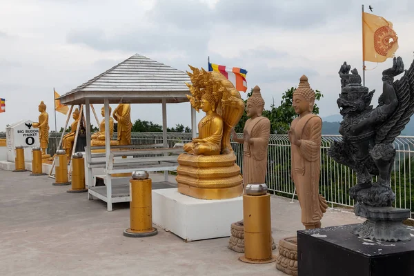 Gouden Boeddhabeeld Met Negen Slangenkoppen Phuket Eiland Thailand — Stockfoto