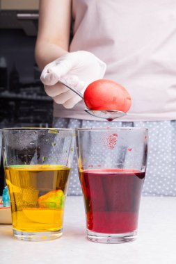 Preparing for Easter - coloring eggs in home kitchen female hands in rubber gloves use spoon take boiled egg out of glass with diluted red dye next other glasses different colors with submerged eggs. clipart