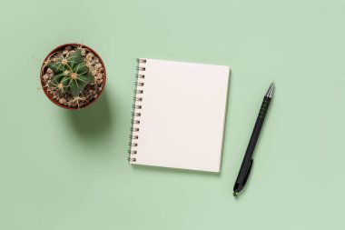 Boş not defteri, yeşil arka plana karşı kalem ve kaktüs. Yazmak için boş bir defter, iş organizasyonu, hayat hedefleri. Liste hazırlıyorum. Uzayı kopyala Üst görünüm.
