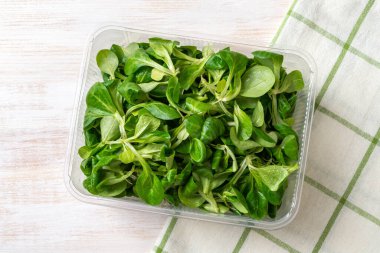 Ahşap bir masada plastik bir yiyecek kabında kuzu salatası yaprağı. Mısır salatası veya vitamin sebze salatası tarifi için mache. Düşük kalorili vejetaryen gıda malzemesi. Salata yeşili konsepti. Üst görünüm.