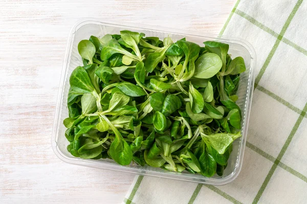 Lambs lettuce leaves in a plastic food container on a wooden table. Corn salad or mache for vitamin vegetable salad recipe. Low calories vegetarian food ingredient. Salad greens concept. Top view.