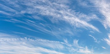 Light cirrus clouds in the blue sky panorama. Cirrus clouds variety on a sunny day. Wide shot of beautiful calm skyscape. Background for weather and climate concept. Outdoors. clipart