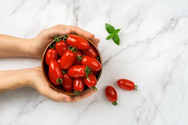 Beyaz mermer arka planda bir kadının içinde bir kase taze Ornela vişneli domates. Dişi eller bir kase kırmızı olgun küçük domates tutuyor. Organik sebzeler, sağlıklı beslenme, hasat konsepti. Üst görünüm.