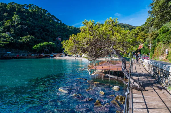 Maravillosa Agua Mar Paraggi Cerca Portofino Riviera Italiana —  Fotos de Stock