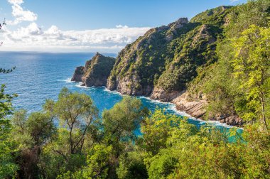 San Fruttuoso Körfezi 'nin Promontory' si, İtalya 'daki Portofino Denizcilik Ulusal Parkı' nda.
