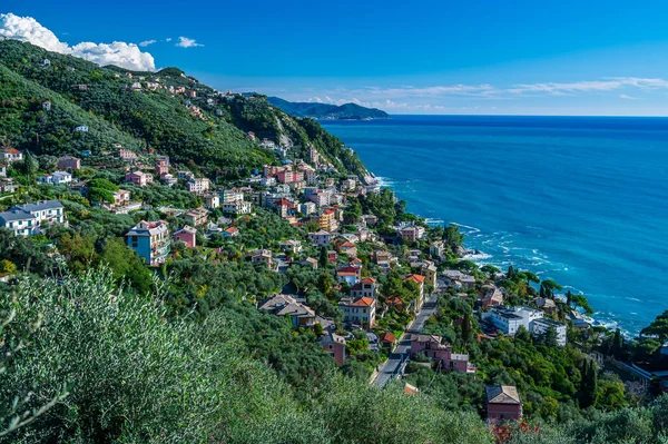 Vista Sobre Aldeia Zoagli Riviera Italiana — Fotografia de Stock