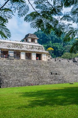 Meksika 'nın en önemli yerlerinden biri olan Chiapas' taki Palenque arkeolojik bölgesinde Antik Maya Harabeleri var.