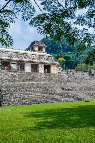 Ruines Mayas Antiques Dans Site Archéologique Palenque Chiapas Des Sites — Photo