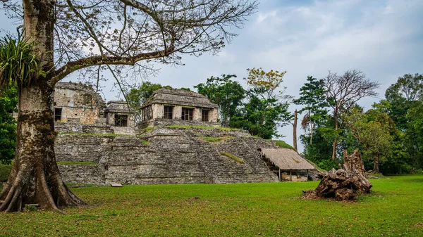Antike Maya Ruinen Der Archäologischen Stätte Von Palenque Chiapas Einer — Stockfoto