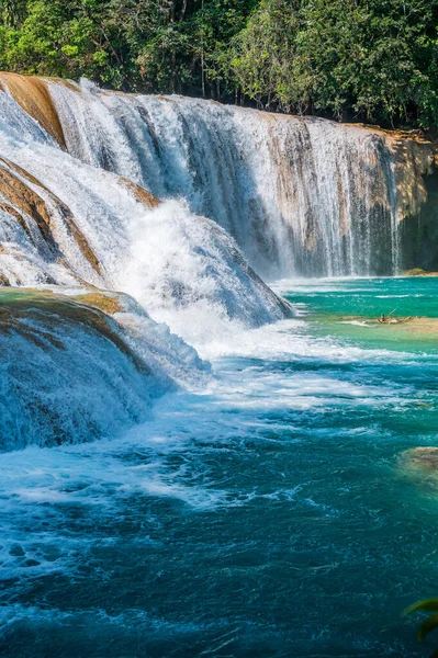Cascadas Agua Azul Spaans Voor Blauwe Waterval Een Waterval Mexicaanse — Stockfoto