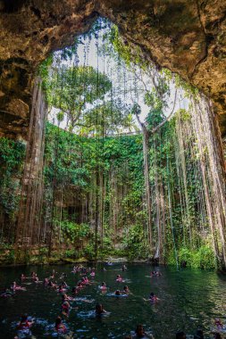 Chichen Itza yakınlarındaki Ik Kil Cenote 'den görüntü