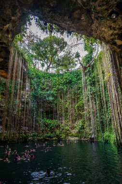Chichen Itza yakınlarındaki Ik Kil Cenote 'den görüntü