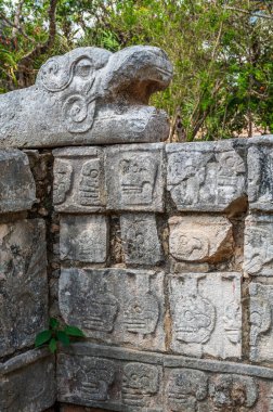 Maya bas, Meksika 'nın bir Unesco Dünya Mirası Alanı olan Chichen Itza' nın arkeolojik sahasında dinleniyor.