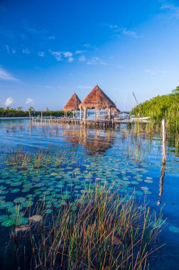 Bacalar, Meksika 'da turkuaz suyu olan harika bir göl.