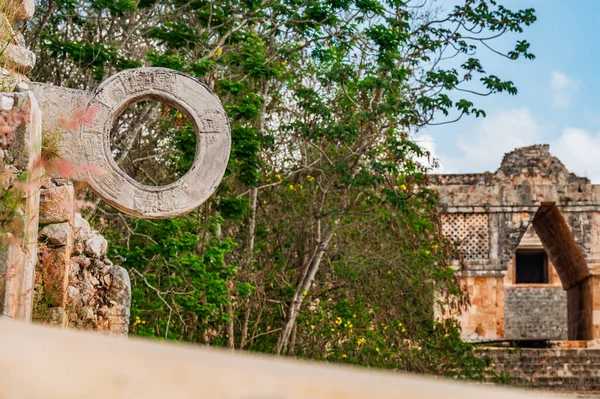 Ruiny Majów Liście Światowego Dziedzictwa Unesco Uxmal Jukatan Meksyk — Zdjęcie stockowe