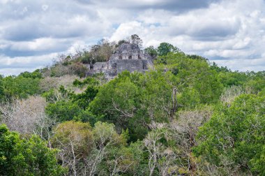 Maya Tapınağı Calakmul arkeolojik alanında, ormanın tam ortasında, Campeche, Meksika 'da yer alıyor.