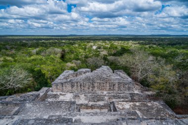 Maya Tapınağı Calakmul arkeolojik alanında, ormanın tam ortasında, Campeche, Meksika 'da yer alıyor.