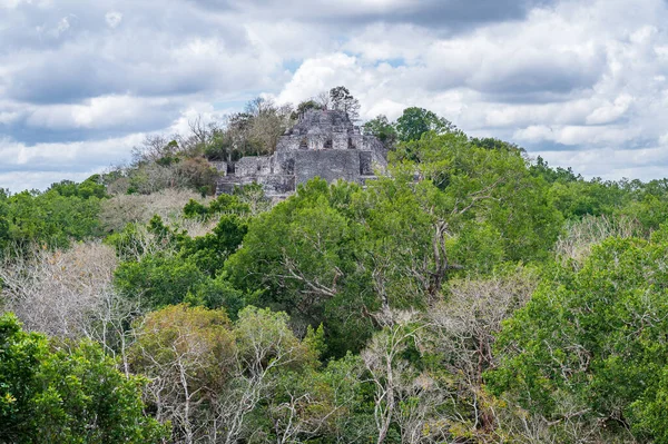 Temple Maya Dans Site Archéologique Calakmul Juste Milieu Jungle Situé — Photo